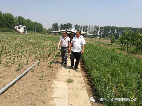 国产精品农村在线,展现乡村魅力，助力乡村振兴