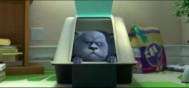 3d猫动画片国产在线观看,在线观看，萌动你的心