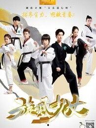 旋风少女国产剧在线观看,青春热血，舞动青春梦想！