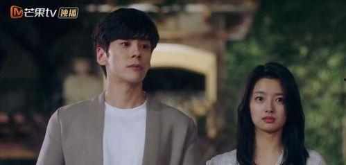 国产甜剧解说全集在线,甜蜜瞬间，笑点连连，重温甜蜜回忆